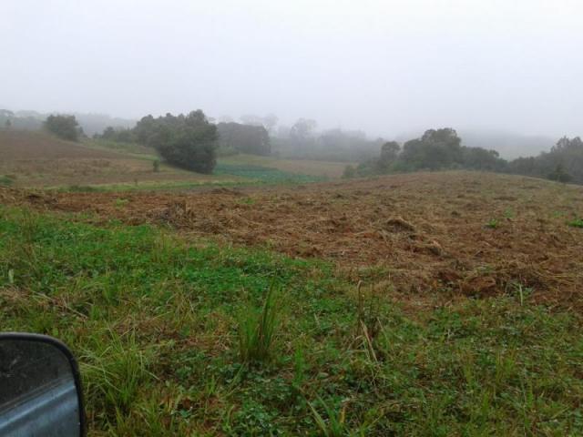 Sítio / chácara para venda em são josé dos pinhais, colônia murici - Foto 3