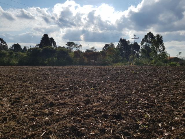 Terreno rural mecanizado com barracão fechado de 550 m2 - Foto 4