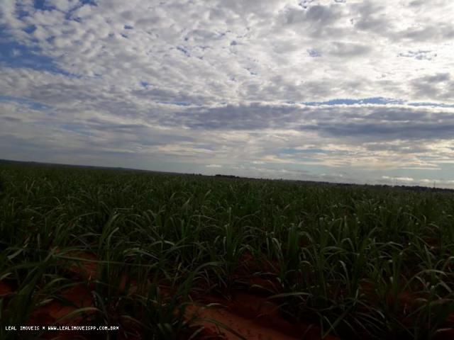 Fazenda para venda em estrela do norte, zona rural, 3 dormitórios, 1 suíte, 1 banheiro - Foto 11