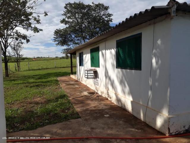 Fazenda para venda em estrela do norte, zona rural, 3 dormitórios, 1 suíte, 1 banheiro - Foto 9