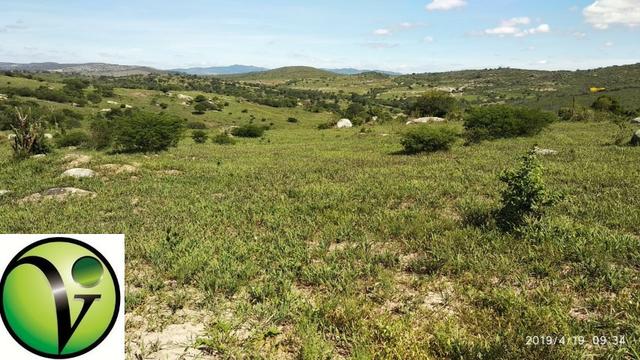 Areá com 65 Hectares nas Margens da Pista de Mandacaru em Gravatá-PE - Foto 13