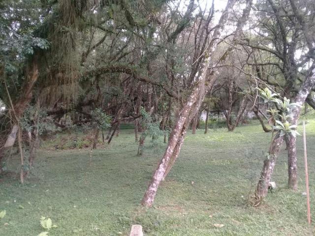T- TE0186-Terreno em Condomínio à venda- Umbará- Curitiba- PR - Foto 6