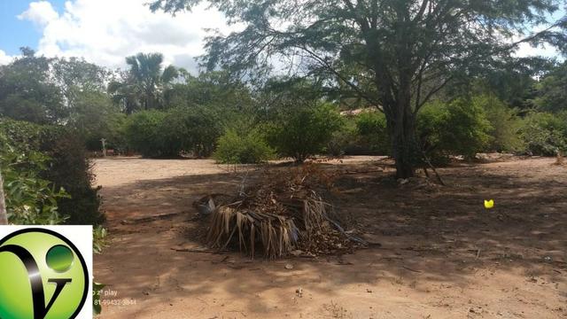 Areá de 4.000,m² em Excelente Localização, a 400 metros da BR, em Gravatá-PE - Foto 6