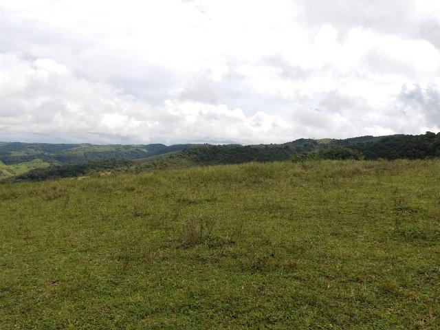 Temos Sua Fazenda de 65 hectares a 1.200 Hectares na Região de Pernambuco/PE - Foto 2