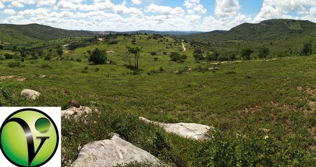 Areá com 65 Hectares nas Margens da Pista de Mandacaru em Gravatá-PE - Foto 9