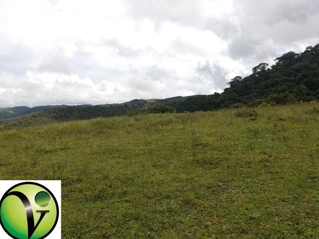 Temos Sua Fazenda de 65 hectares a 1.200 Hectares na Região de Pernambuco/PE - Foto 18