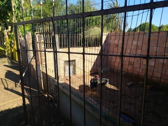 Velleda of sitio, casa, salão de festas, a 600 mts RS040, troca sítio maior - Foto 12