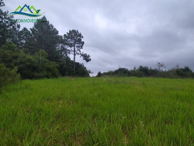 Velleda oferece lindo sítio de 1 hectare, local seguro, ac 100% em carros - Foto 3