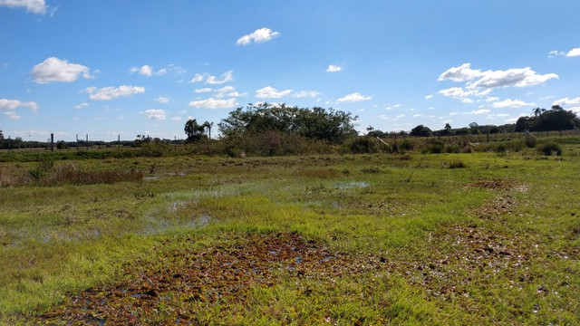 SSV Imóveis Apresenta, 2.550 m2, 1 km da RS 040, veja - Foto 5