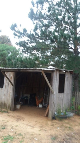 Velleda oferece excelente local para quem busca paz e tranquilidade - Foto 3