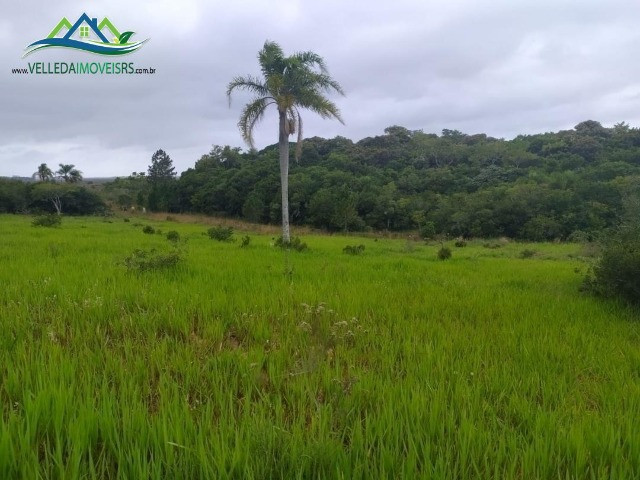Velleda oferece lindo sítio de 1 hectare, local seguro, ac 100% em carros - Foto 4