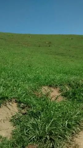 Ótima fazenda em Cachoeiro de Itapemirim - Foto 7