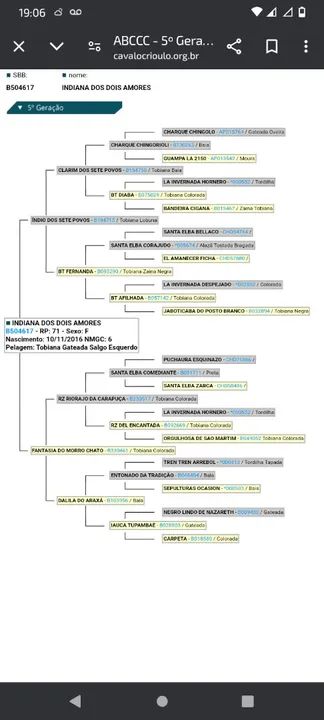 Égua crioula  - Foto 2