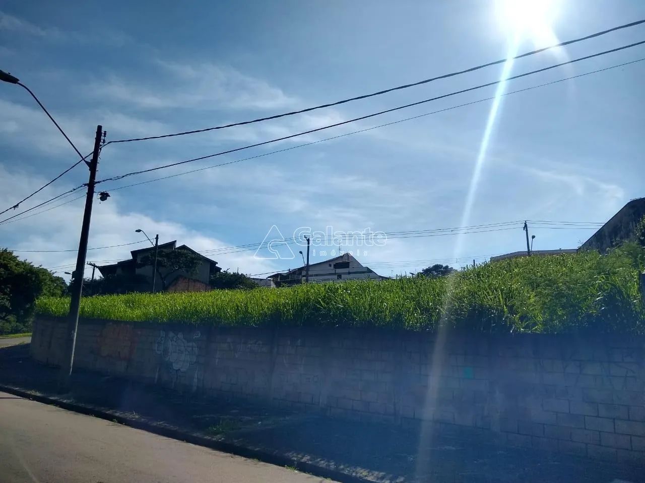 terreno - Jardim Guarani - Campinas - Foto 5