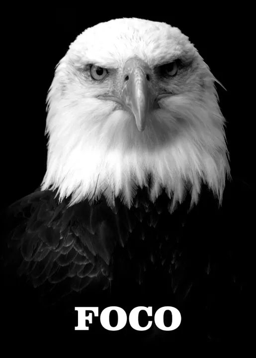 3 quadros motivação com vidro  - Foto 3