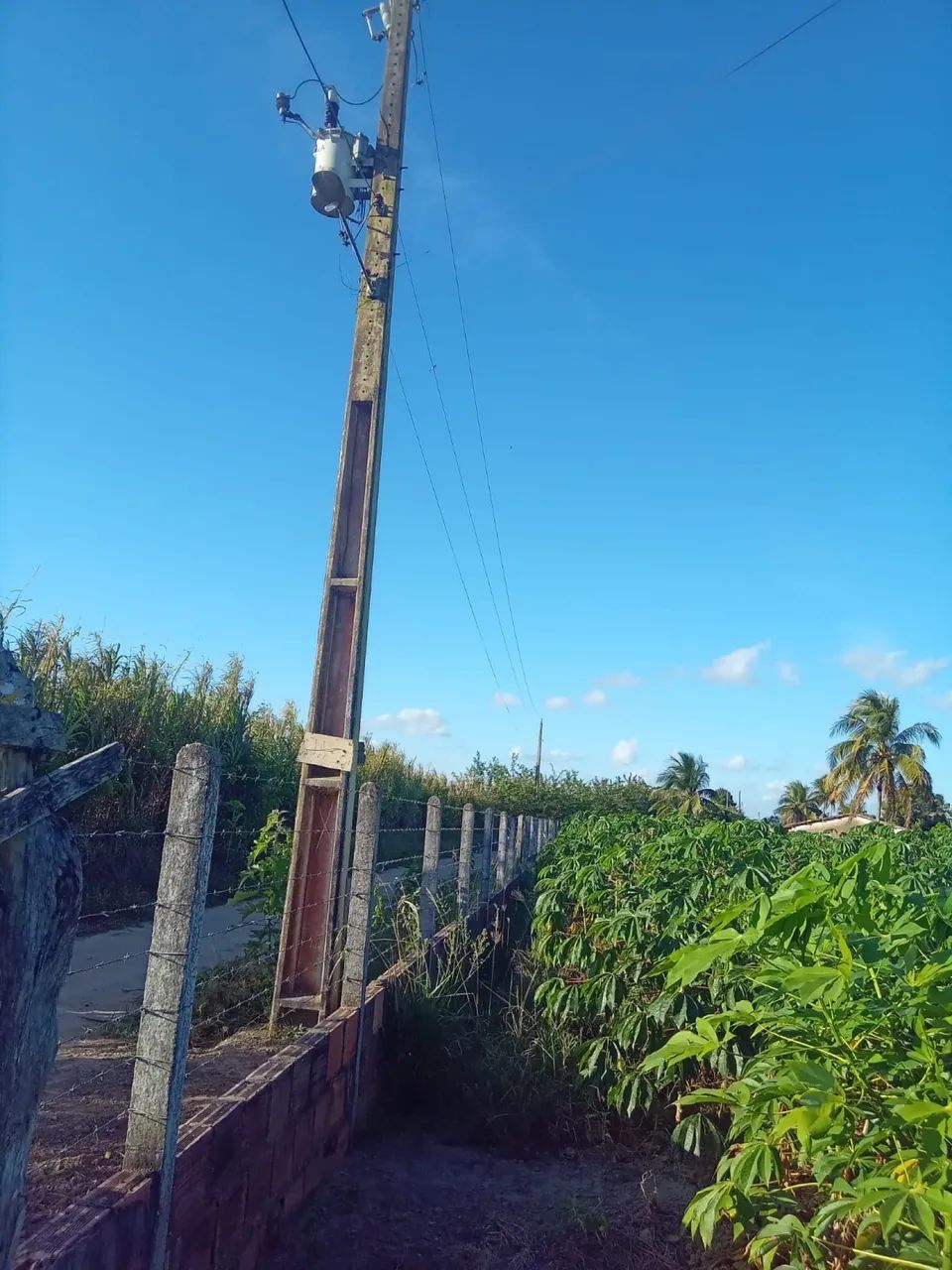 Vendo sítio - Foto 3