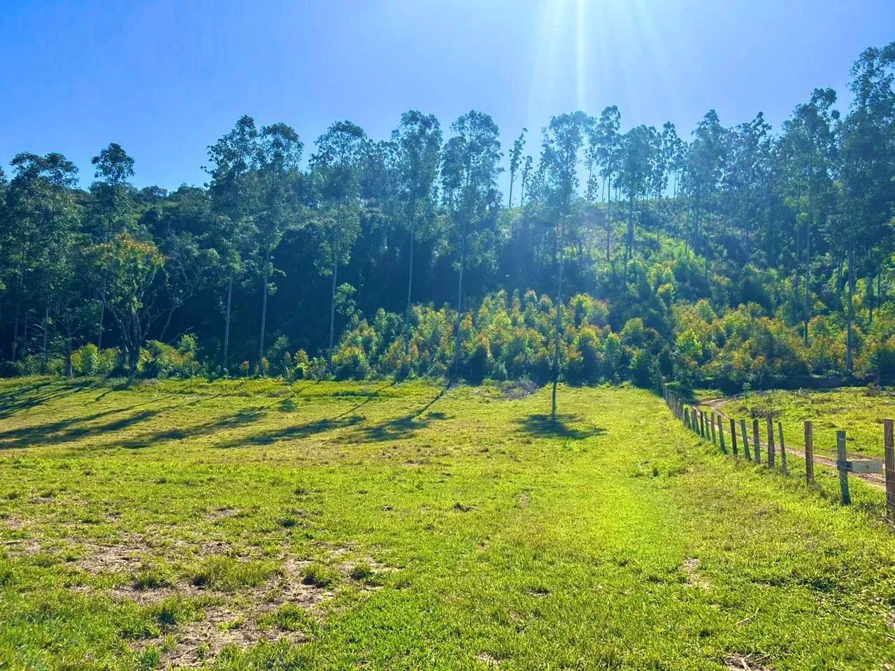 Preço acessível para você construir seu Lar! Lotes no Residencial Flamboyant - Foto 10