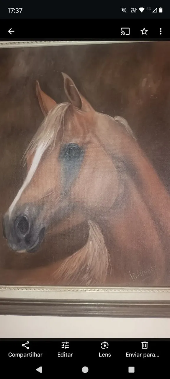 Quadro de Cavalo em Óleo Sobre Tela