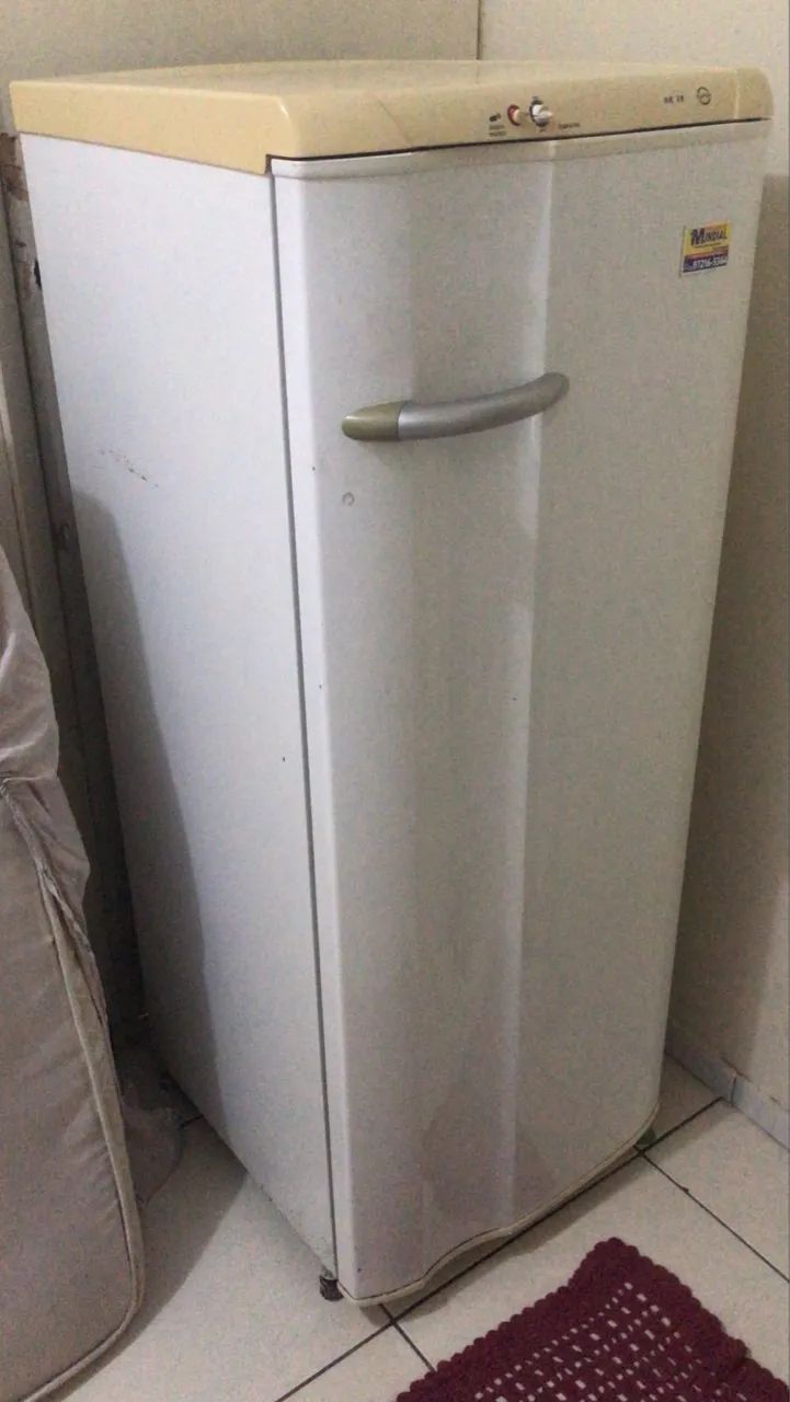 Geladeira Eletrolux 450 REAL  - Foto 3