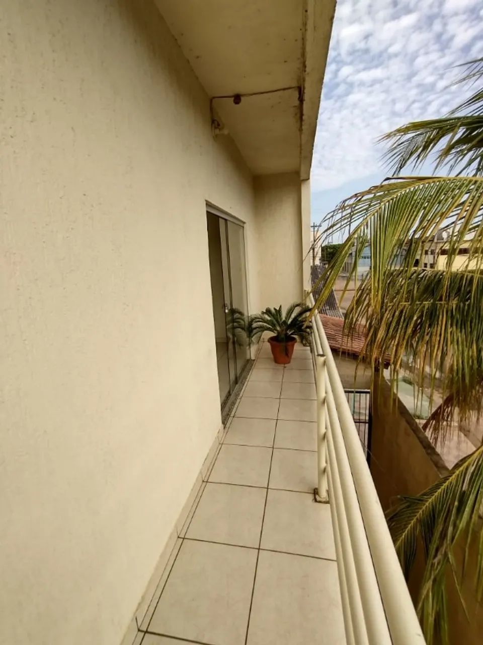 foto - Porto Velho - Floresta