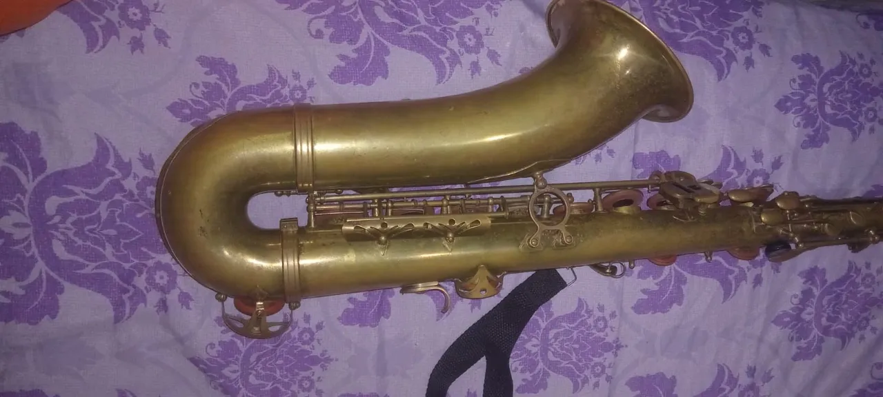 Saxofone tenor shelter