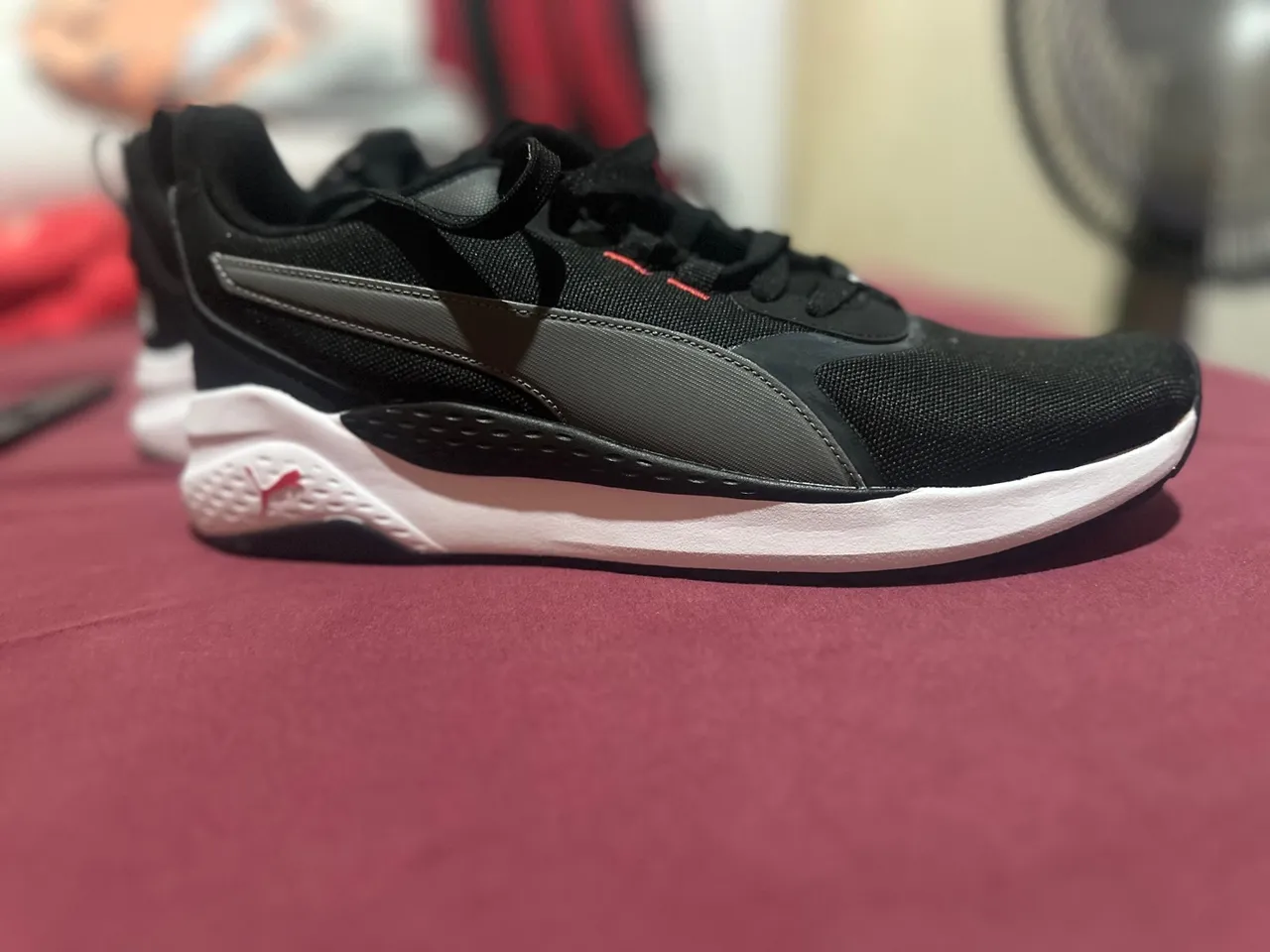 Tênis da Puma novo