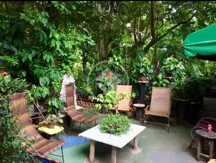 Belíssima chácara em Varginha, região de Santo Antônio. 4.1 Hectares Valor R$ 850.000,00 c - Foto 3