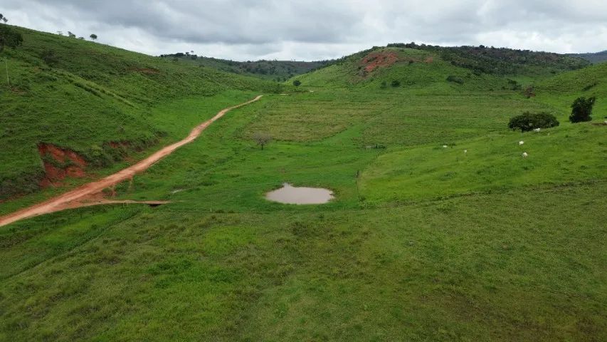 Fazenda pronta com 712 hectares - Foto 3