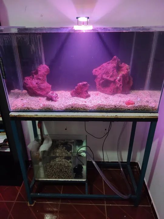 Aquário 200 litros completo  - Foto 5