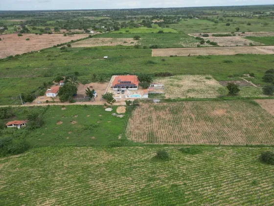 Haras na região de Bom Jesus