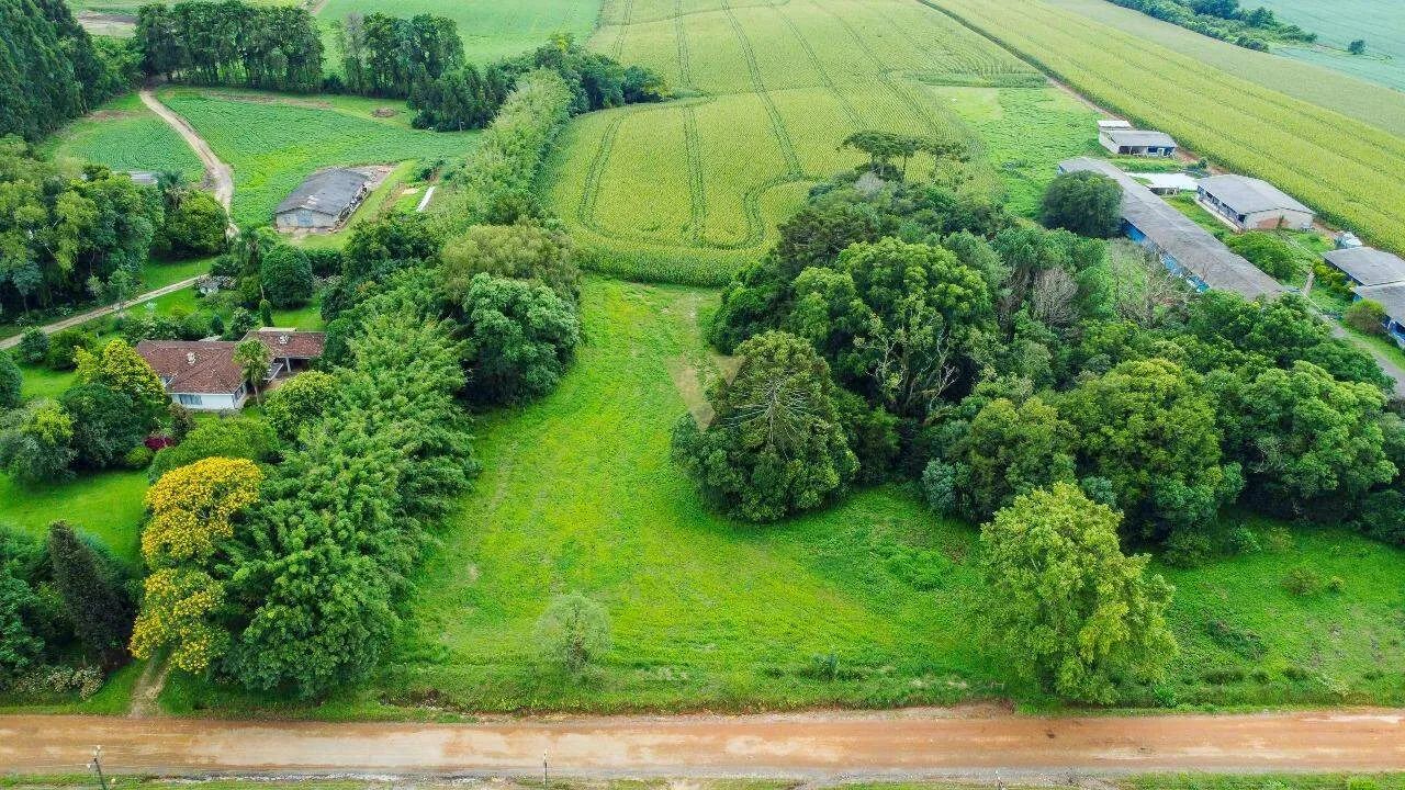 Terreno rural na Colônia Witmarsum, Palmeira - PR
