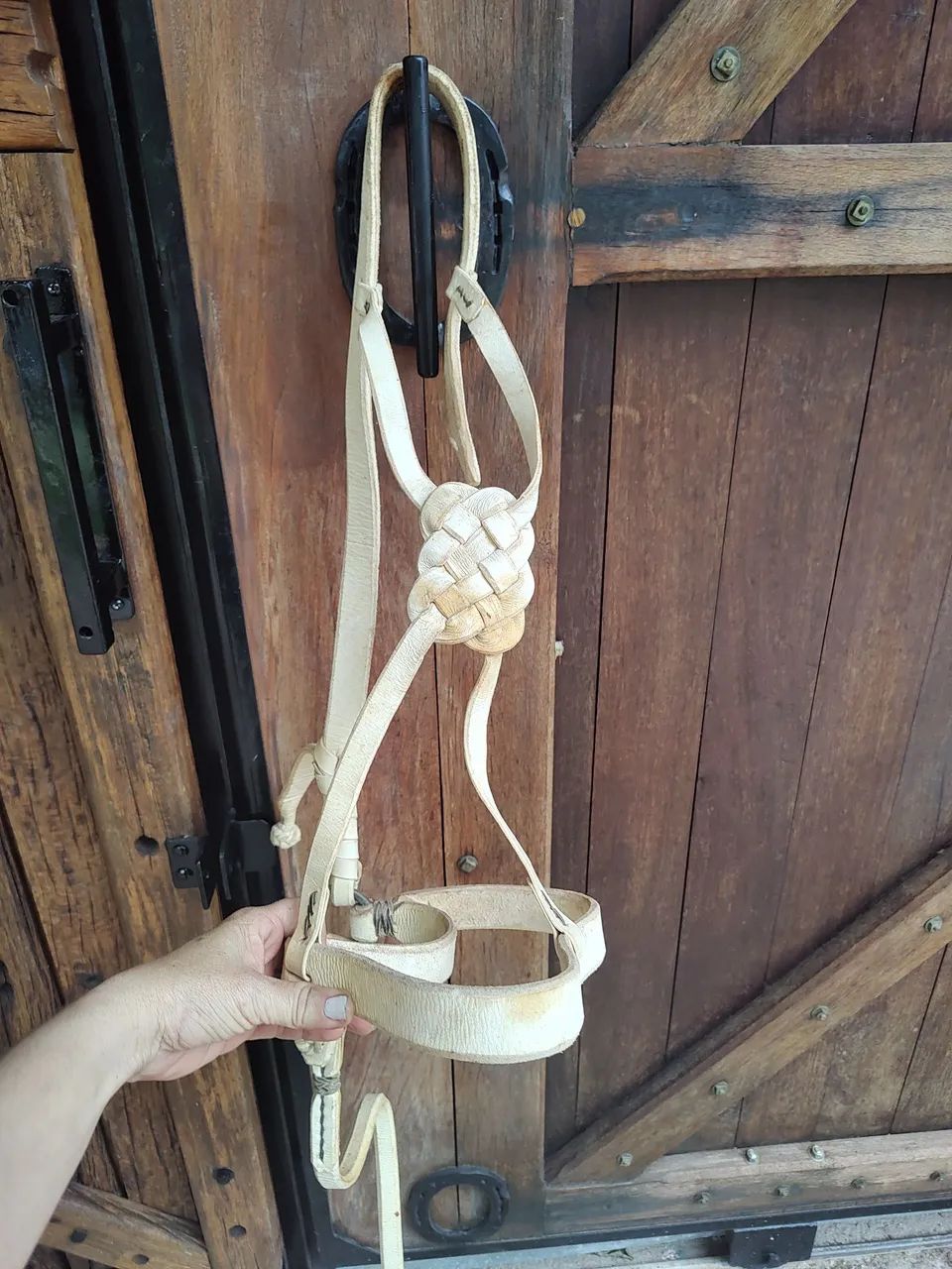 Cabresto buçal modelo sapo em couro  - Foto 2