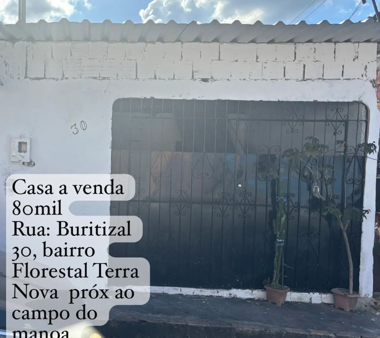 Foto - Manaus - Monte das Oliveiras