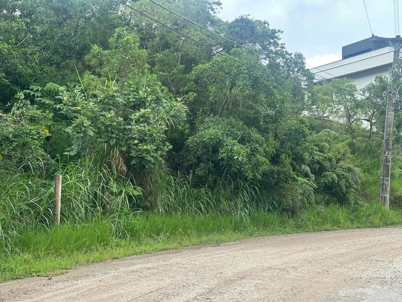 Terreno com 1.675,56m² no João Paulo - Foto 2