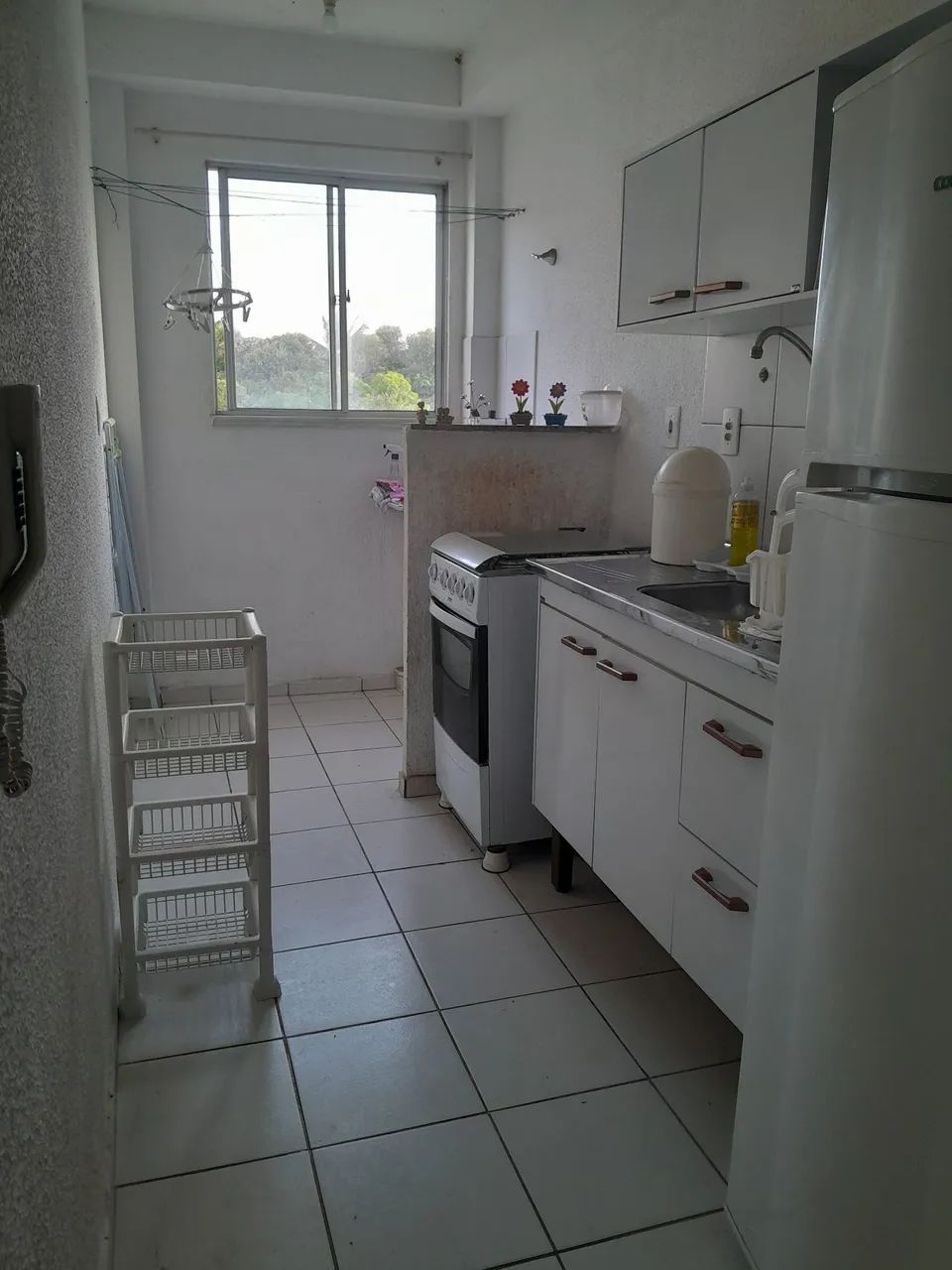 Foto - São Cristóvão - Madre Paulina