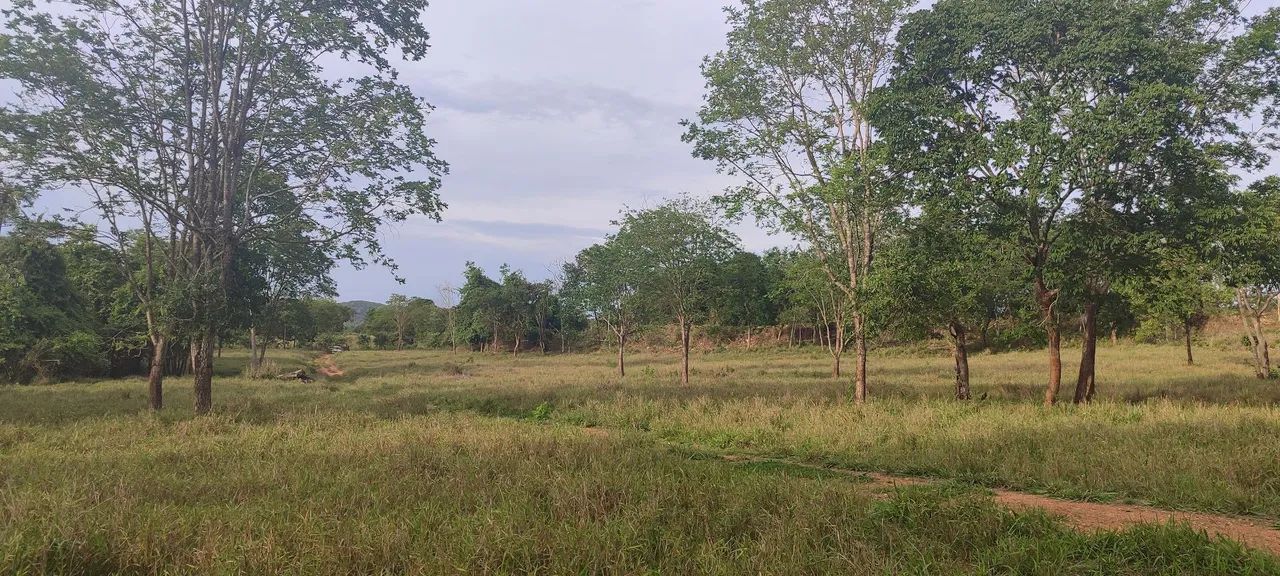 Chácara em varjao  - Foto 4