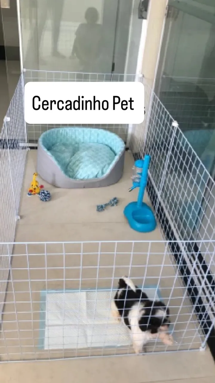 Cercadinho Pet