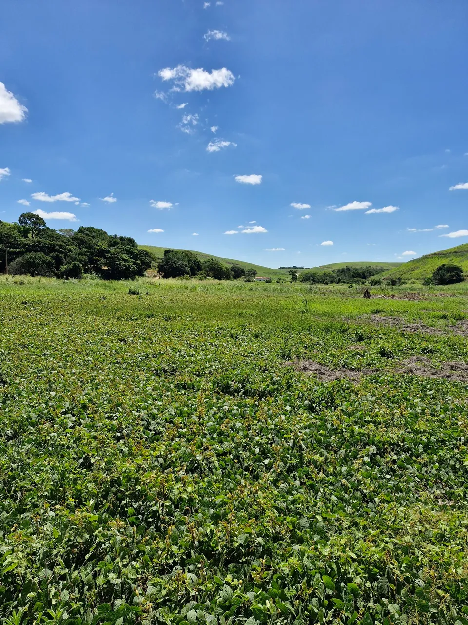 20 hectares em Barra de Sto Antônio