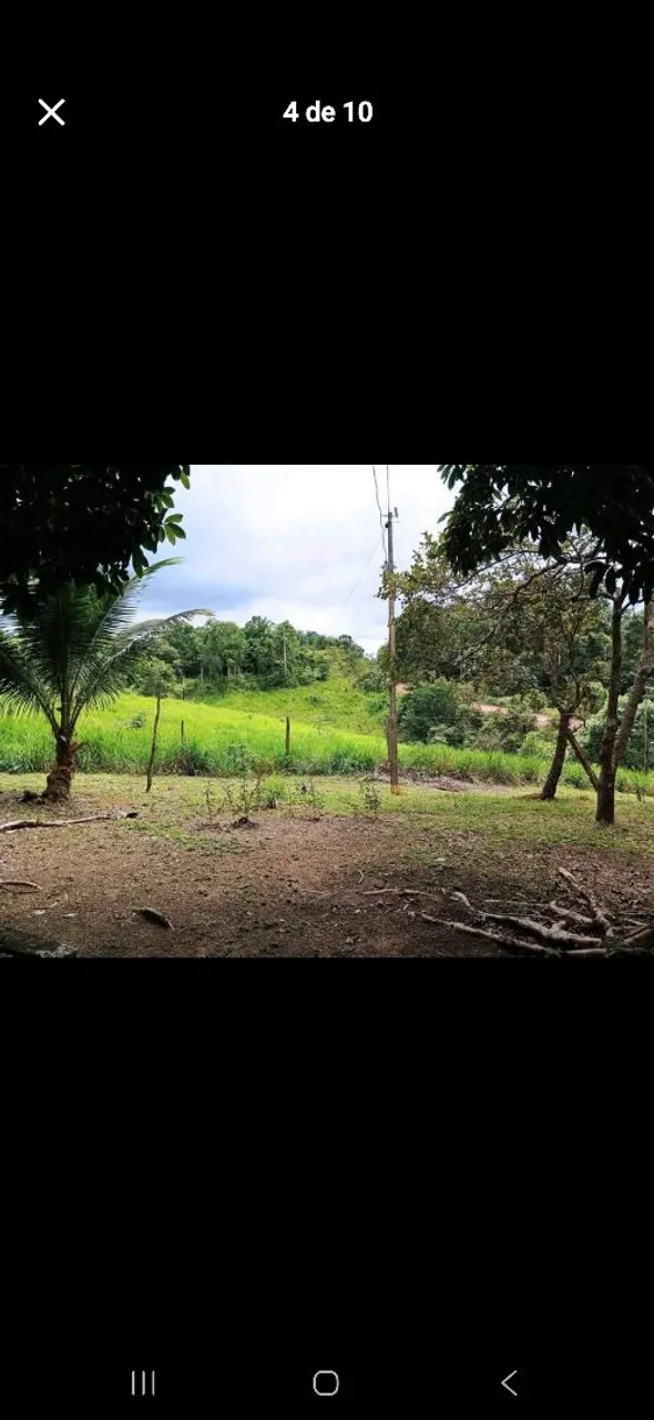 Sítio com vista para a natureza exuberante!