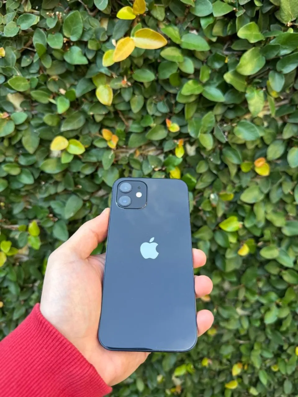 Iphone 12 64GB Preto Perfeito Estado