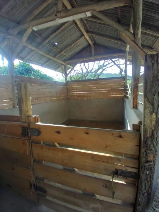 Aluguel de báias pra cavalo em itajai sc - Foto 3