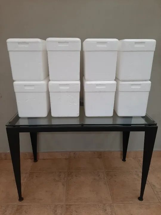 10 Caixas de ISOPOR de 13 litros - TUDO por R$ 30,00