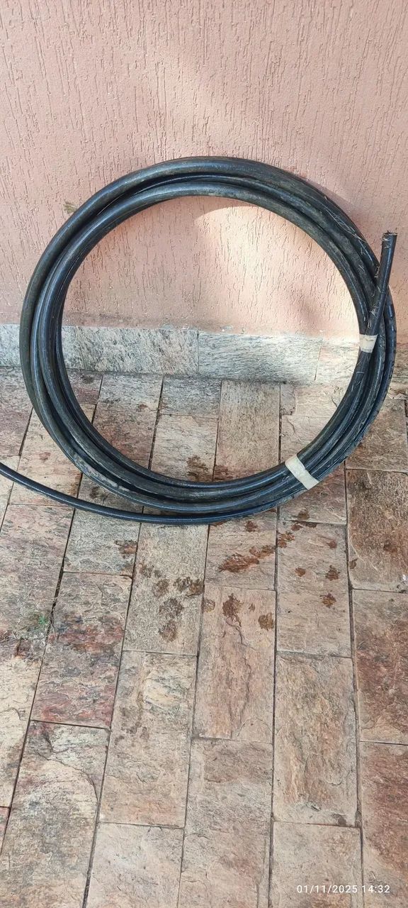 Cano64629338154370121