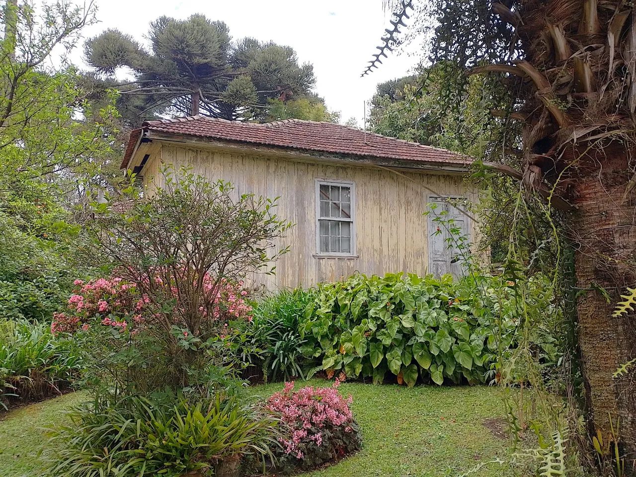 Terreno com casa de madeira em construção  - Foto 2