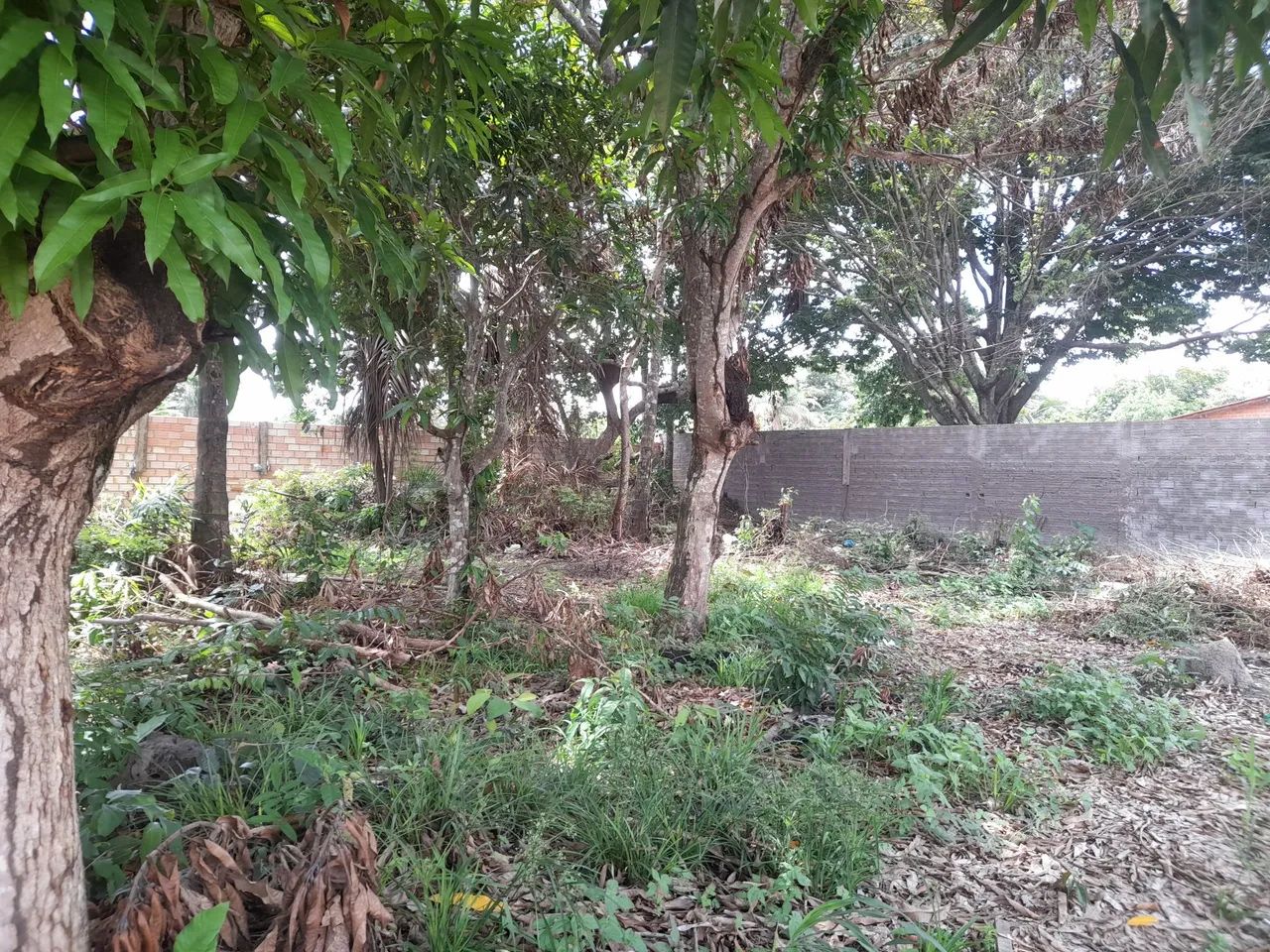 Terreno no bairro Área verde. - Foto 2