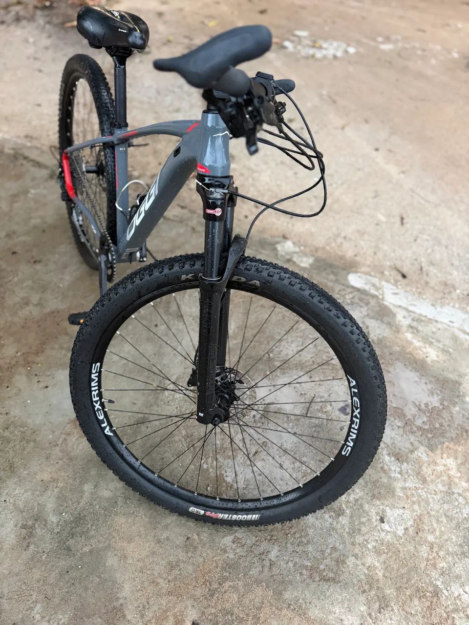 Bicicleta Oggi 7.2 - Foto 2