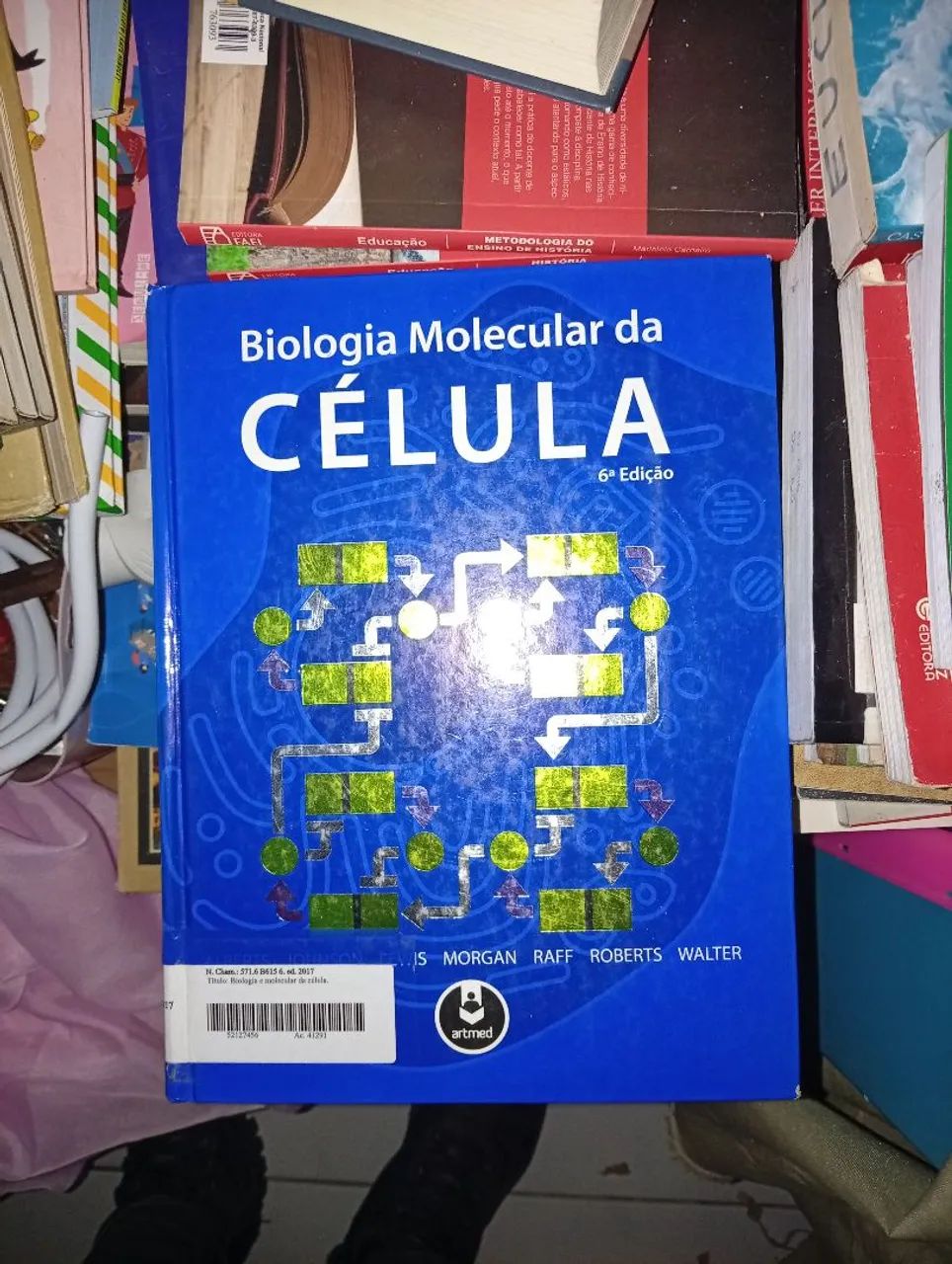 Livro Biologia Molecular 6° edição - Foto 3