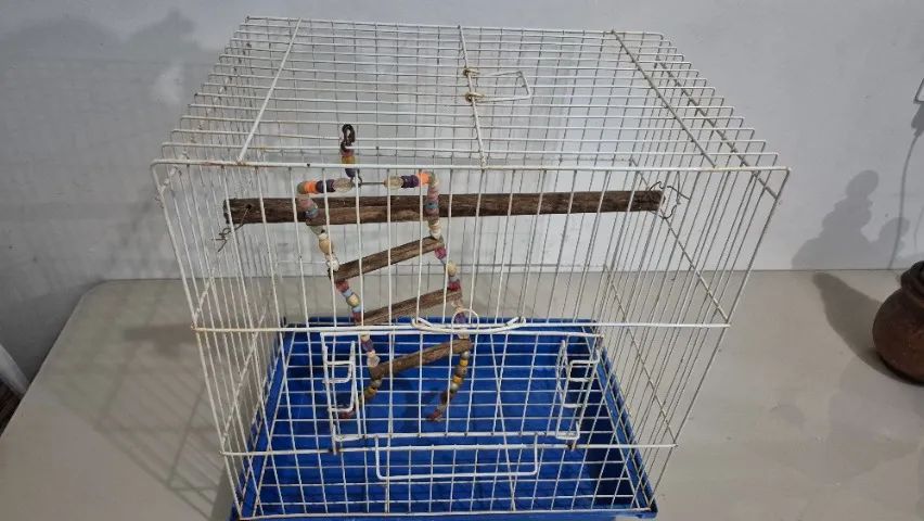 Gaiola de pássaro - Foto 2