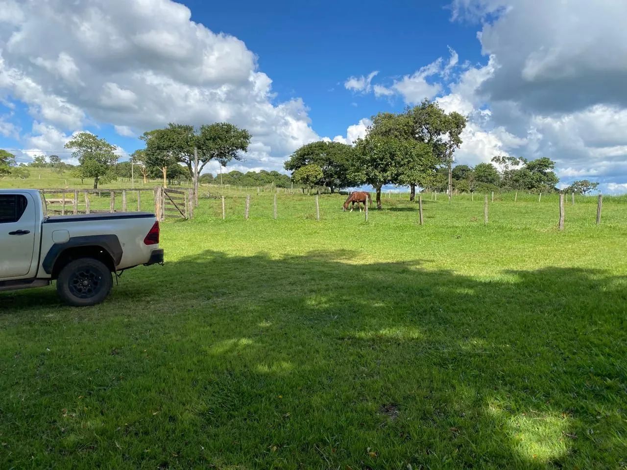 Fazenda 175 alqueires - Dupla Aptidão! - Foto 3