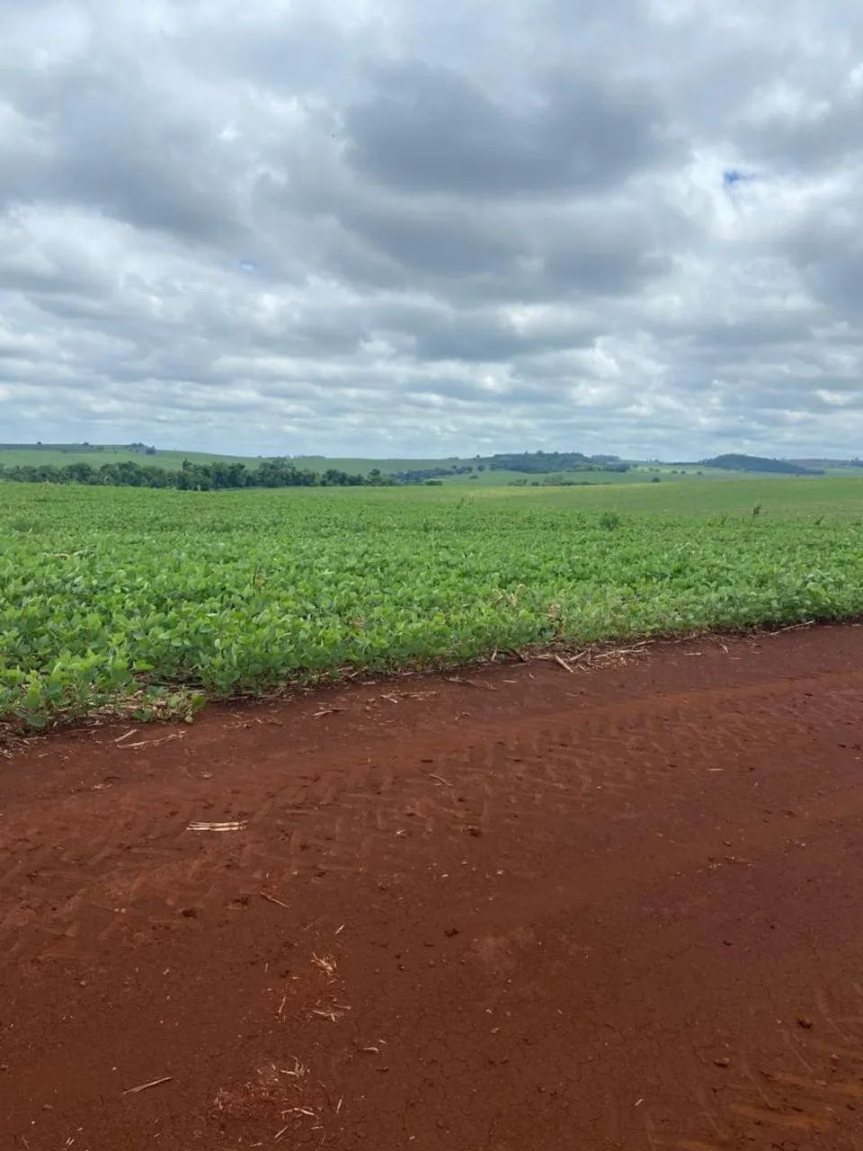 Vendo fazenda pego 70 % imovel 